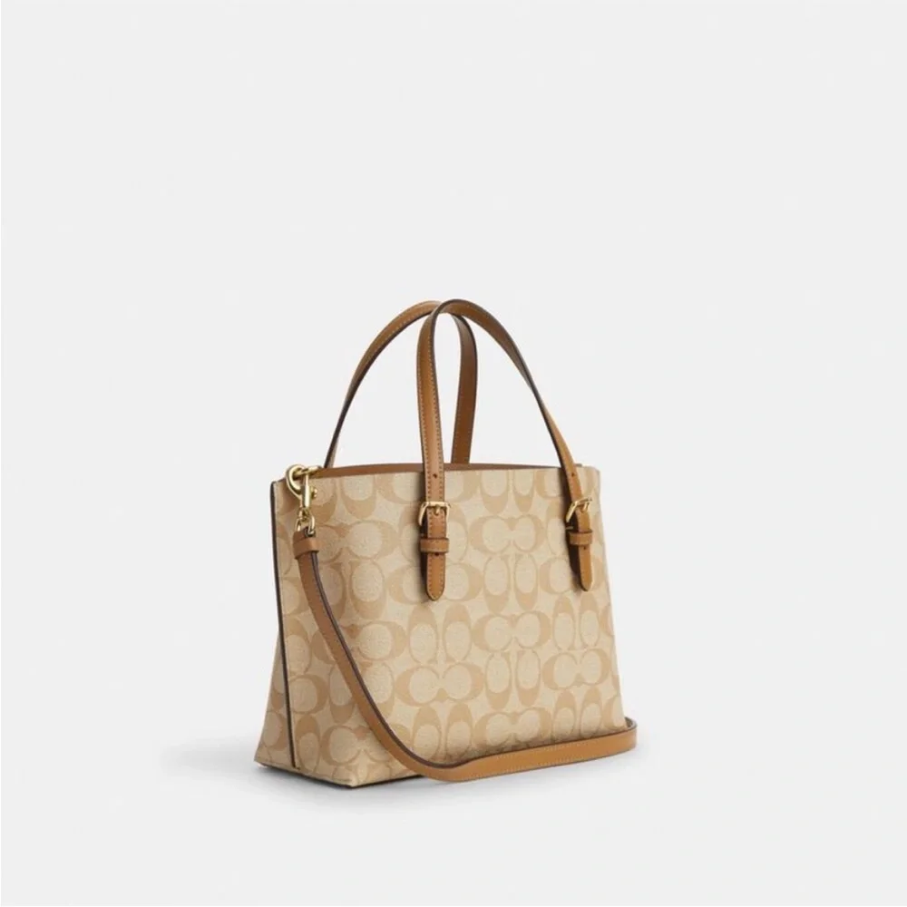 Coach mollie tote